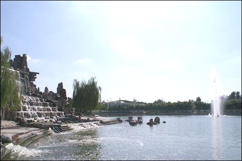 聊城冬季风景图