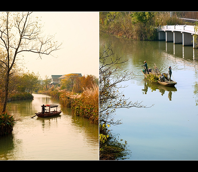 西溪湿地·色彩斑斓时