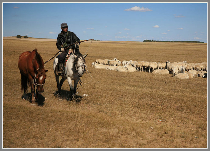 内蒙古——放牧