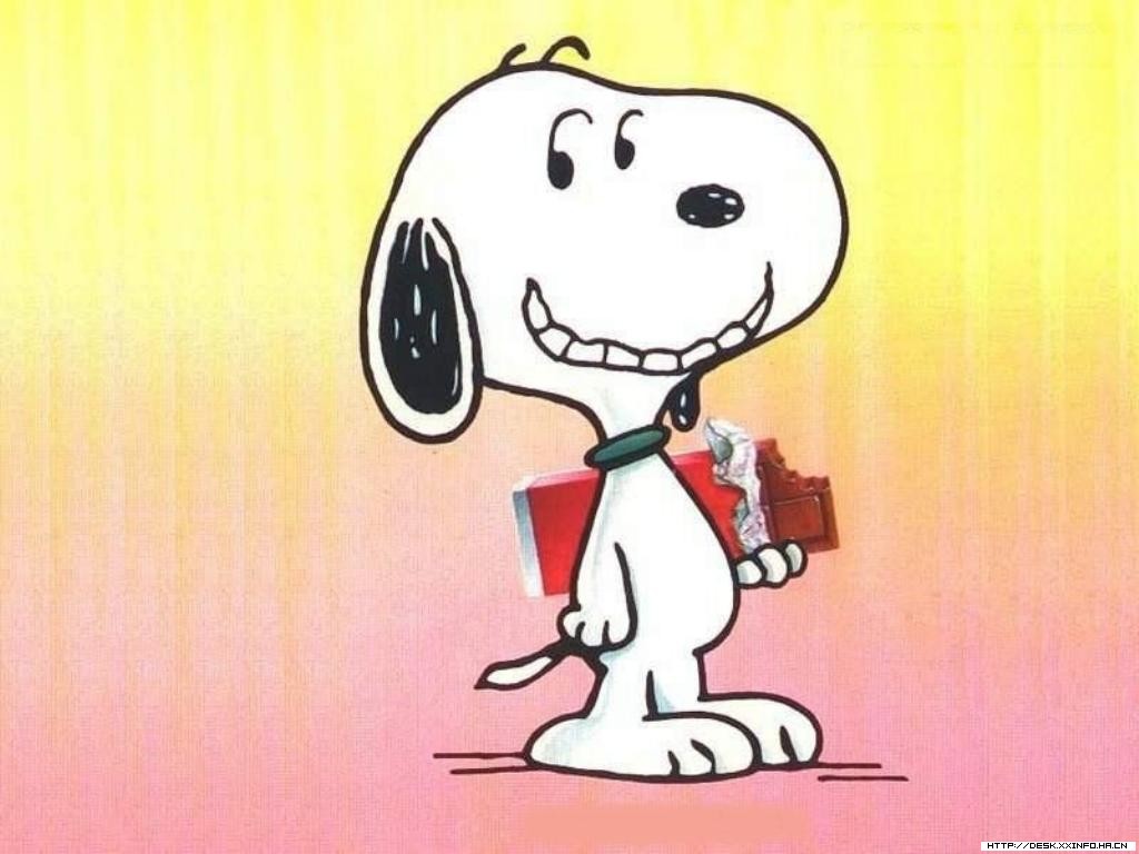 圈子 - 成语新解--朽木不可雕