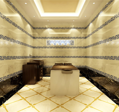 项目名称:莫斯科asia beauty spa 会所