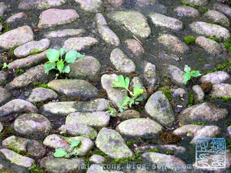 ���� �������