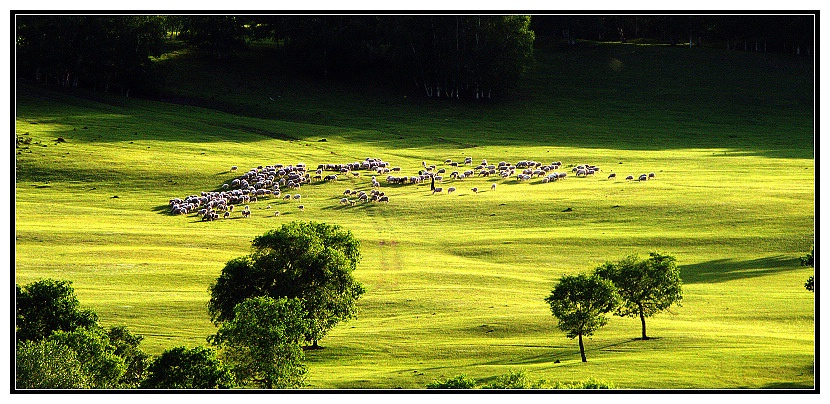 旅游必带物品_外出旅游必带物品_旅游必备物