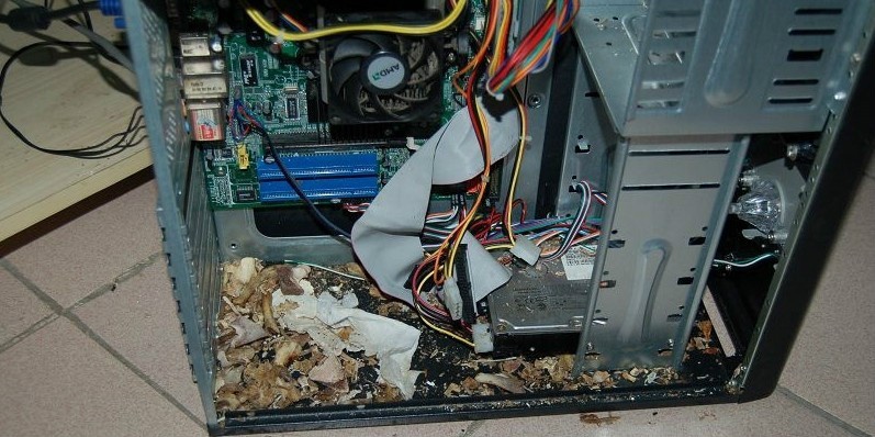 电脑主机突然开不了机_电脑主机被雷击开不了机器_电脑突然黑屏主机还正常工作