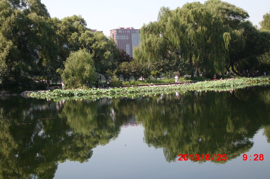 Ӱе羰ԭ - ydq200888 - ydq200888Ĳ