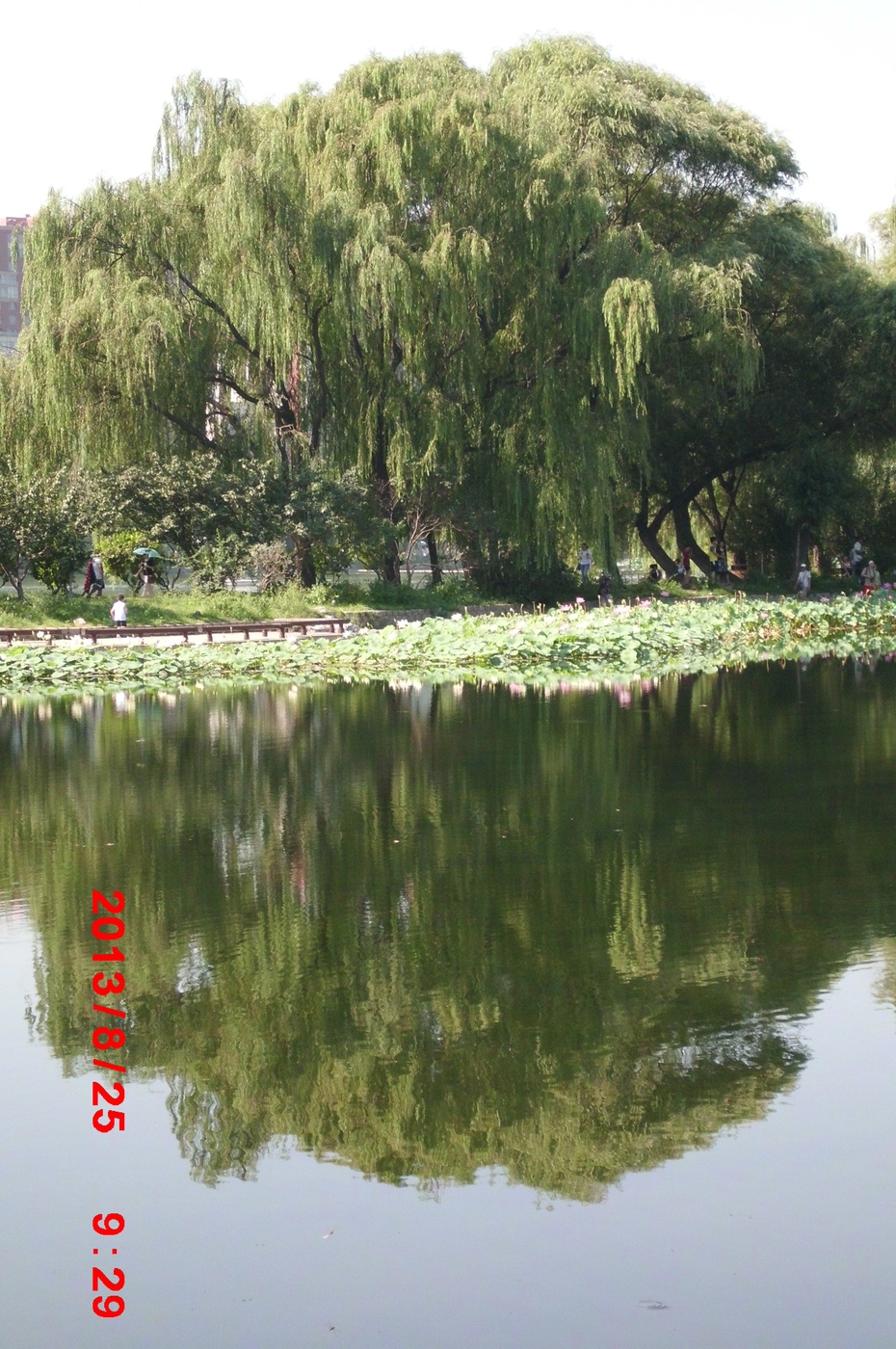 Ӱе羰ԭ - ydq200888 - ydq200888Ĳ