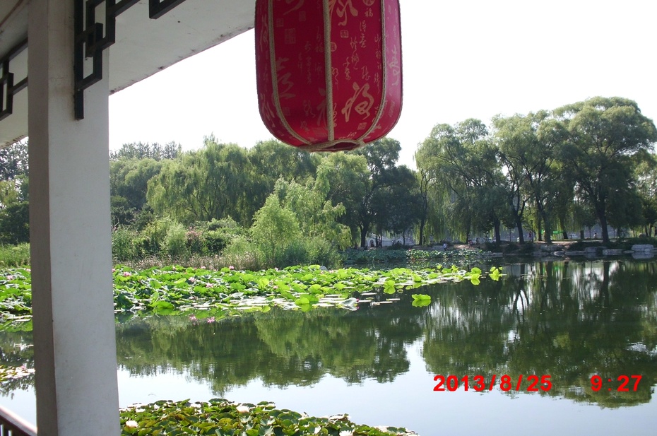 Ӱе羰ԭ - ydq200888 - ydq200888Ĳ