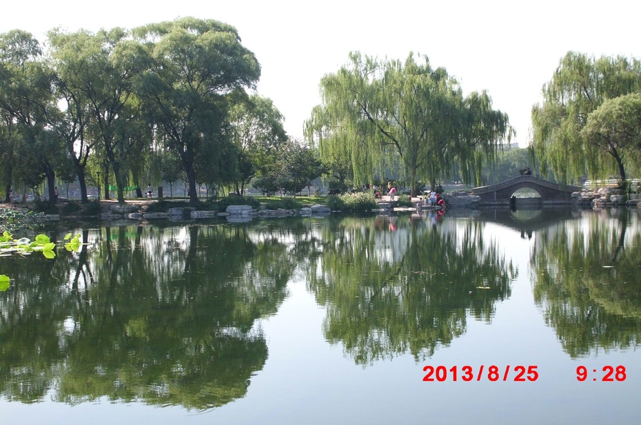 Ӱе羰ԭ - ydq200888 - ydq200888Ĳ