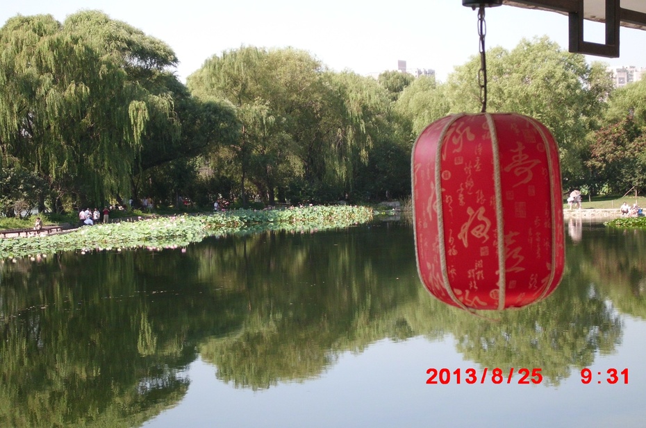 Ӱе羰ԭ - ydq200888 - ydq200888Ĳ