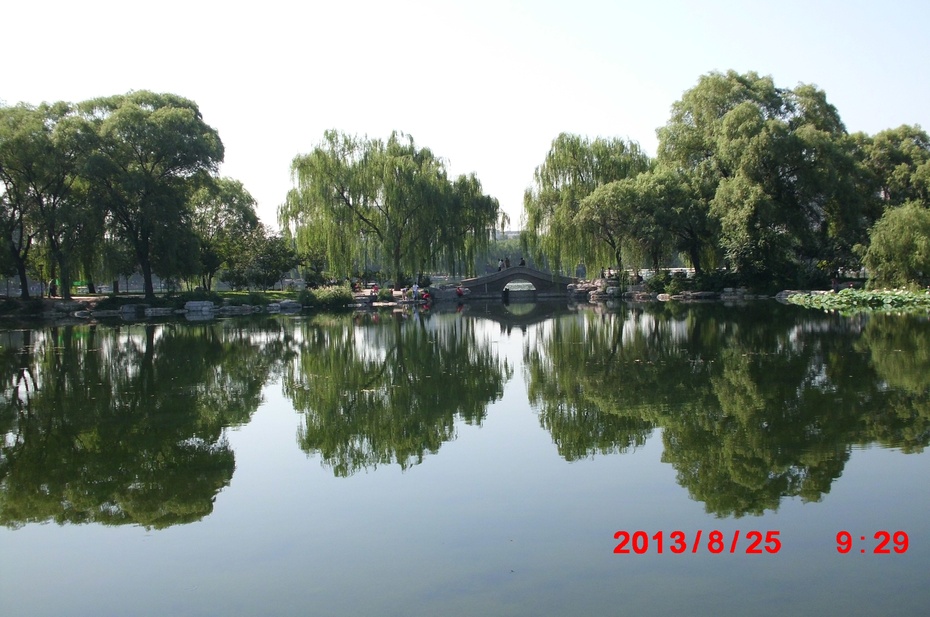 Ӱе羰ԭ - ydq200888 - ydq200888Ĳ