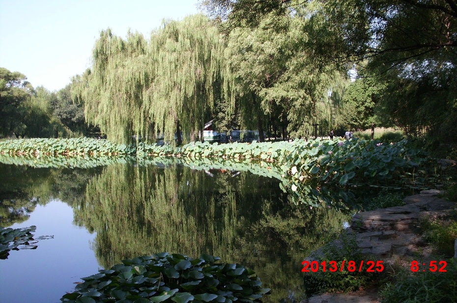 Ӱе羰ԭ - ydq200888 - ydq200888Ĳ