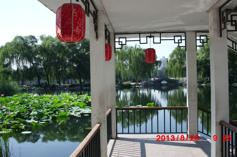 Ӱе羰ԭ - ydq200888 - ydq200888Ĳ