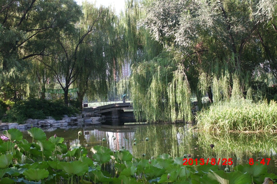 Ӱе羰ԭ - ydq200888 - ydq200888Ĳ