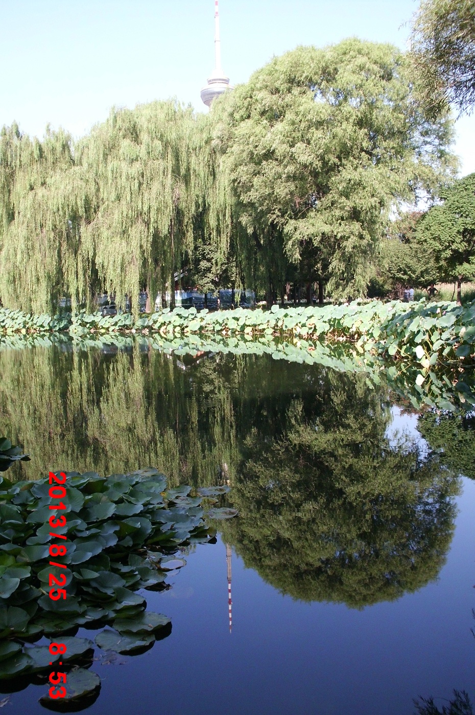 Ӱе羰ԭ - ydq200888 - ydq200888Ĳ