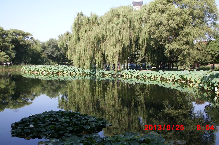 Ӱе羰ԭ - ydq200888 - ydq200888Ĳ