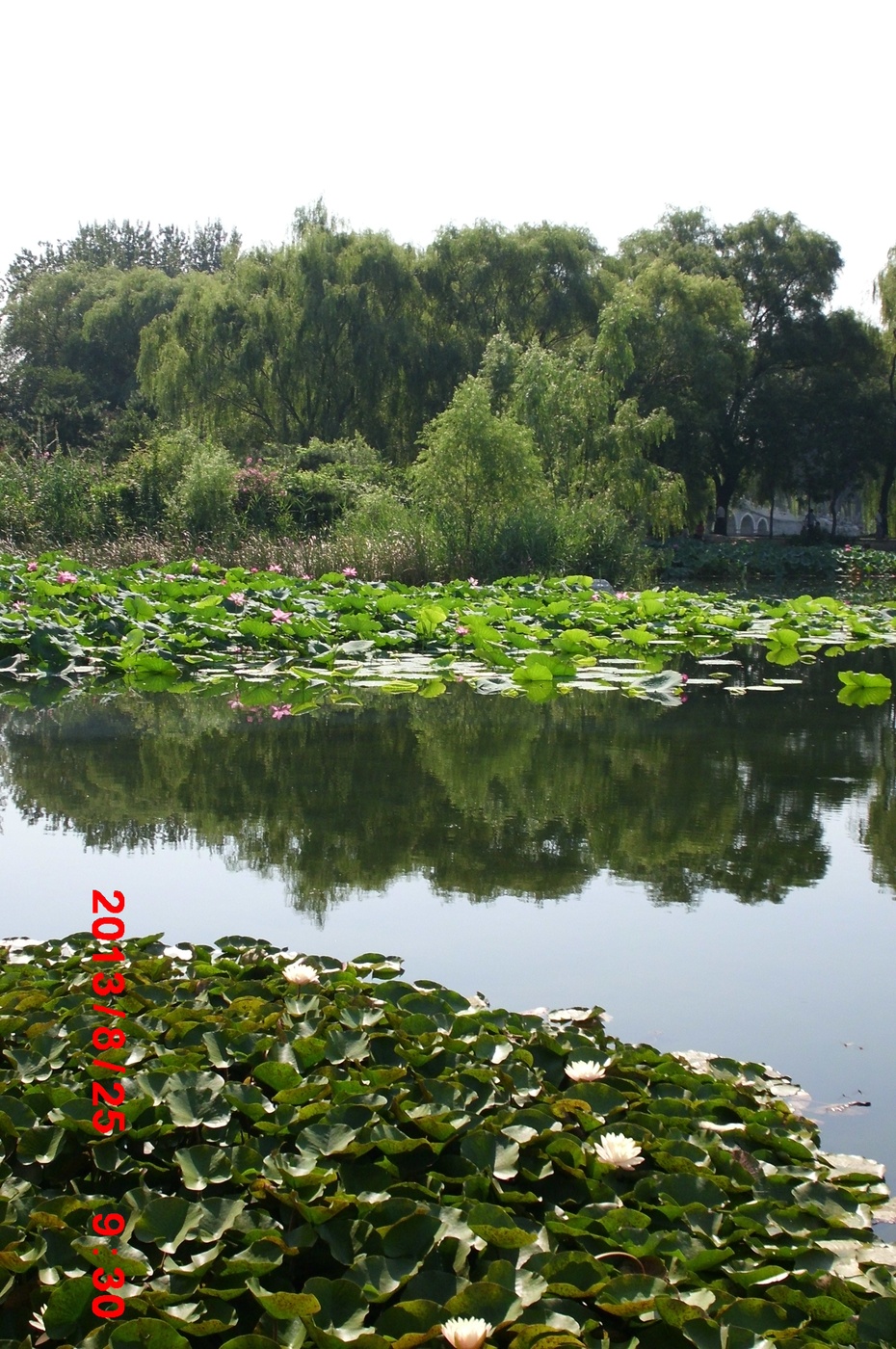 Ӱе羰ԭ - ydq200888 - ydq200888Ĳ