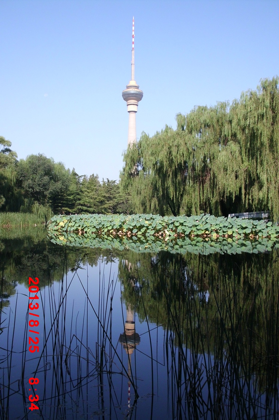 Ӱе羰ԭ - ydq200888 - ydq200888Ĳ