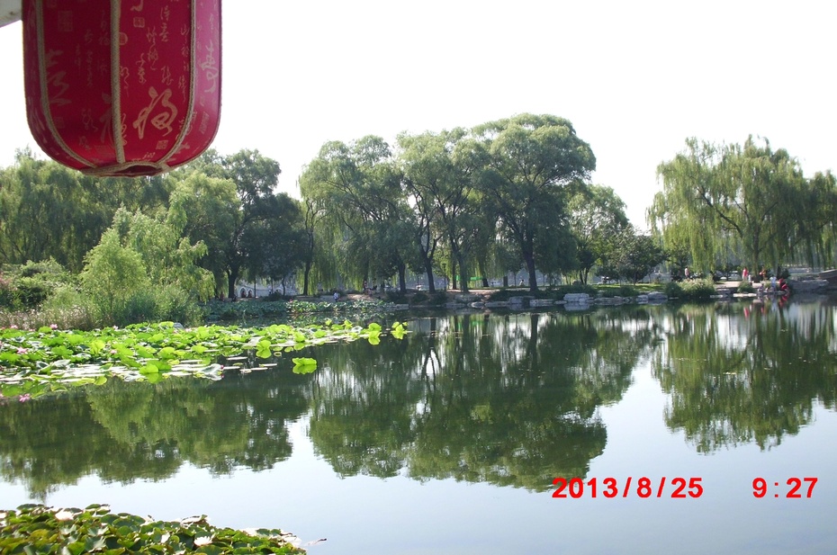 Ӱе羰ԭ - ydq200888 - ydq200888Ĳ