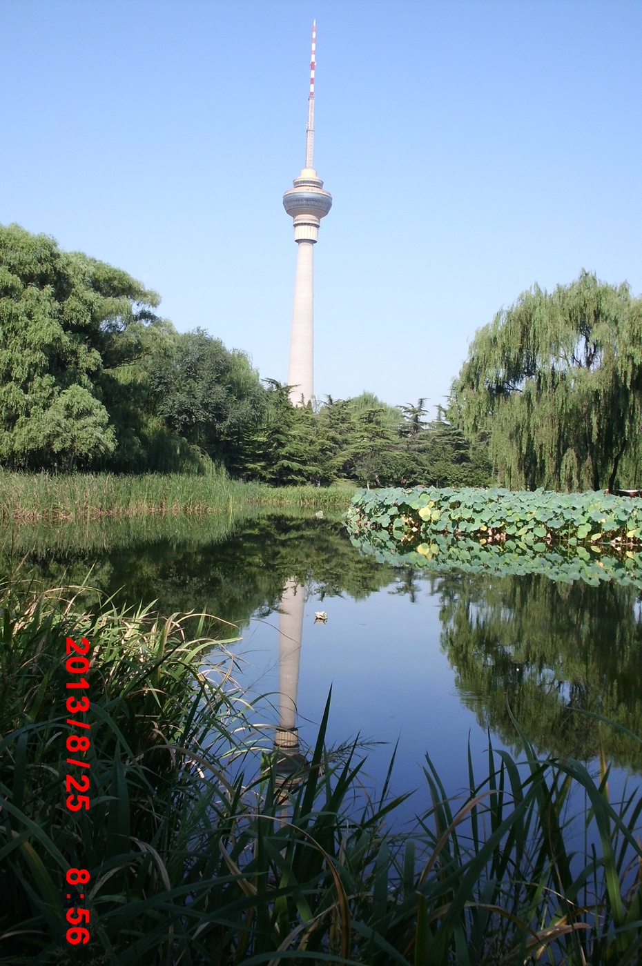 Ӱе羰ԭ - ydq200888 - ydq200888Ĳ