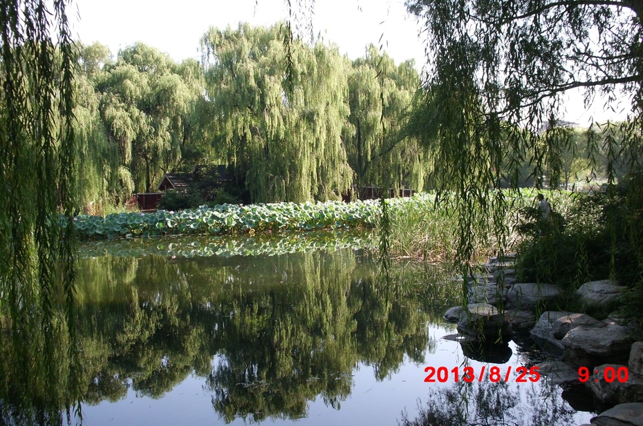 Ӱе羰ԭ - ydq200888 - ydq200888Ĳ