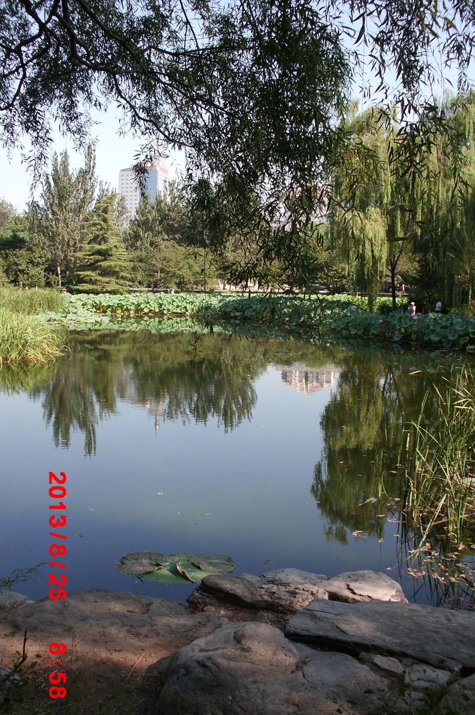 Ӱе羰ԭ - ydq200888 - ydq200888Ĳ