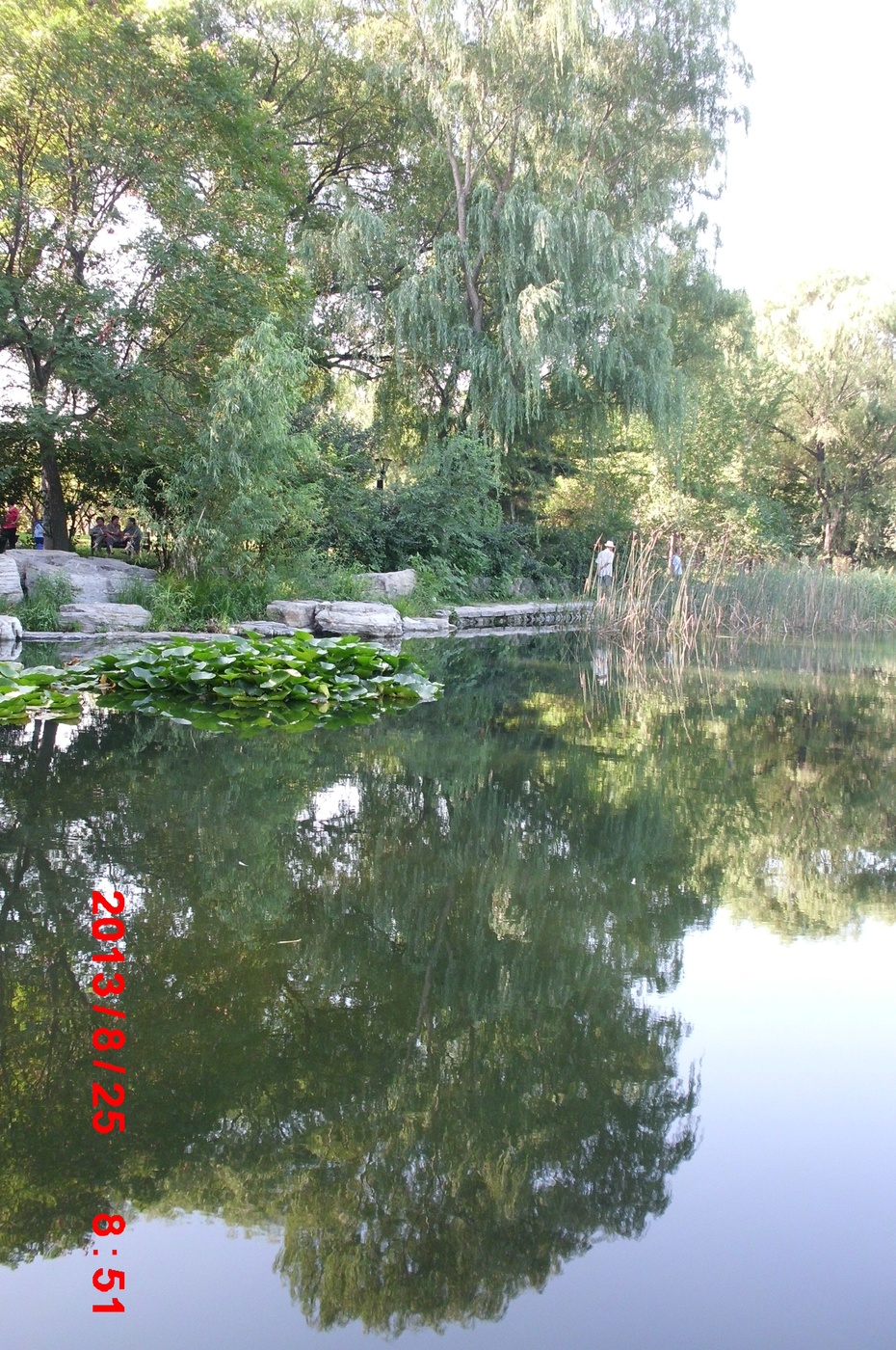 Ӱе羰ԭ - ydq200888 - ydq200888Ĳ