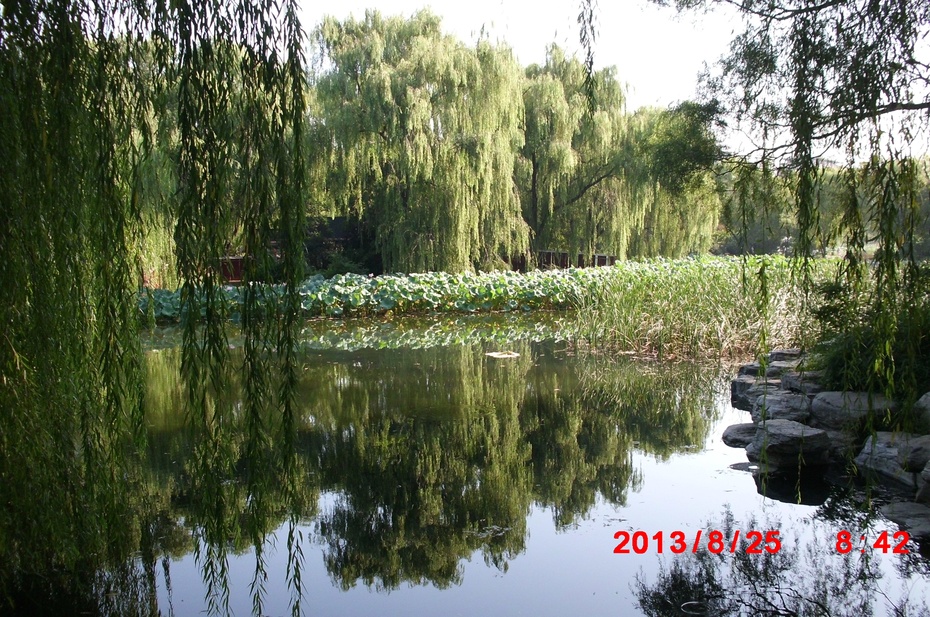 Ӱе羰ԭ - ydq200888 - ydq200888Ĳ