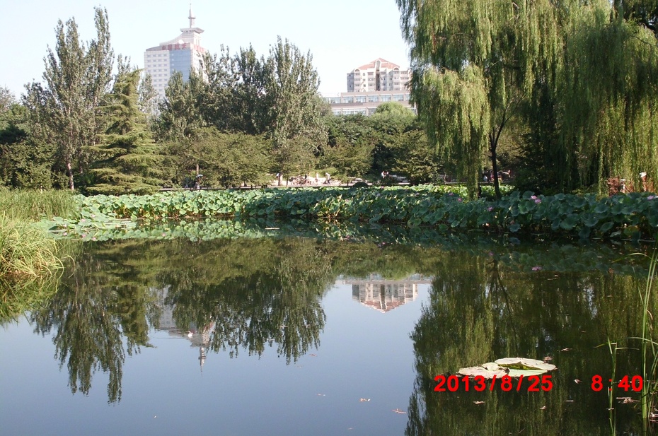 Ӱе羰ԭ - ydq200888 - ydq200888Ĳ