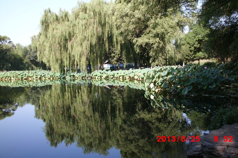 Ӱе羰ԭ - ydq200888 - ydq200888Ĳ