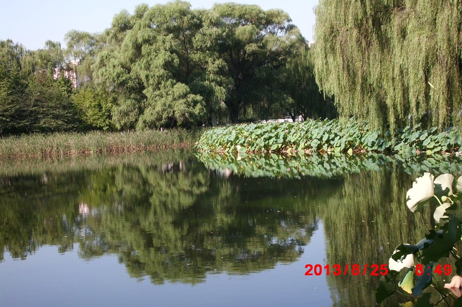 Ӱе羰ԭ - ydq200888 - ydq200888Ĳ