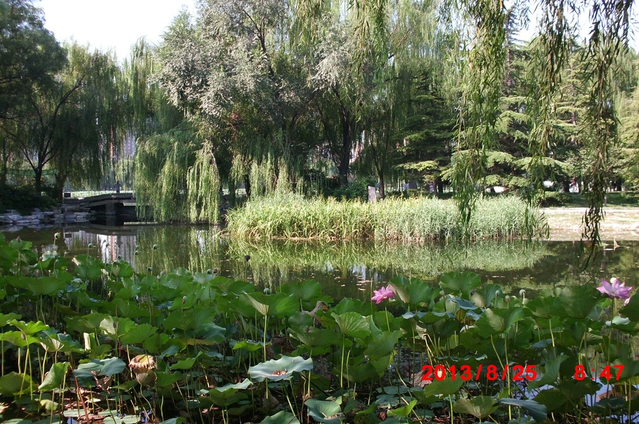 Ӱе羰ԭ - ydq200888 - ydq200888Ĳ