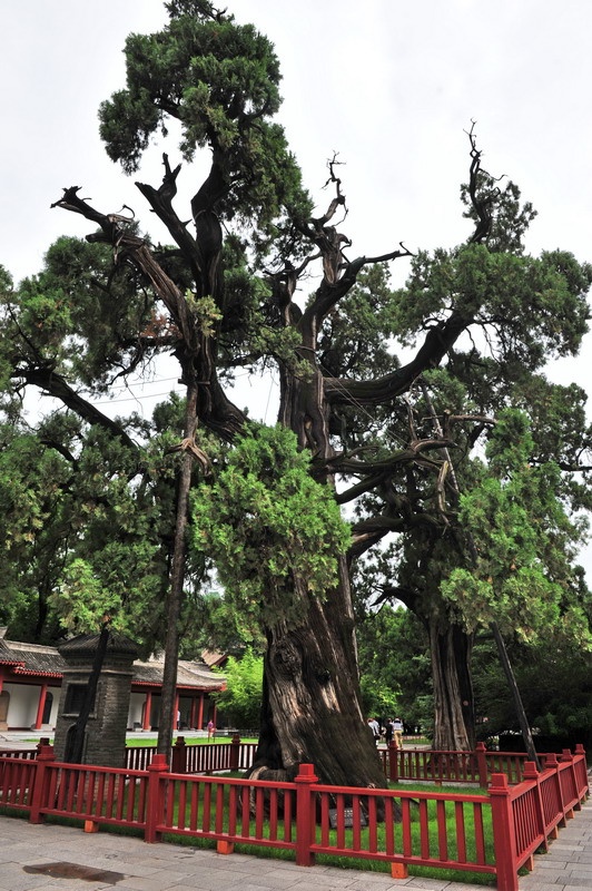 西行漫记之一:拜谒黄帝陵 - hubao.an - hubao.an的博客 西行漫记之一:拜谒黄帝陵 - hubao.an - hubao.an的博客