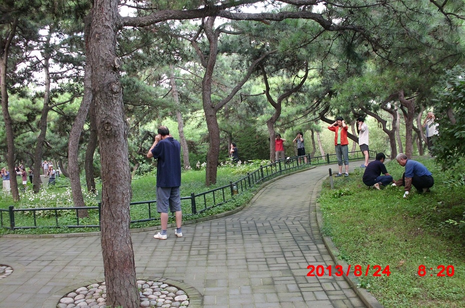 北京电视台摄制组的同志和记者在公园东门口小广场拍摄晨练的人们.