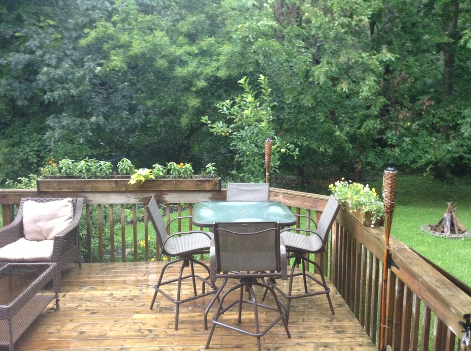 温莎纪行——兼及未来谋生方式的思考 - 周年洋 - 周年洋：思想的芦苇