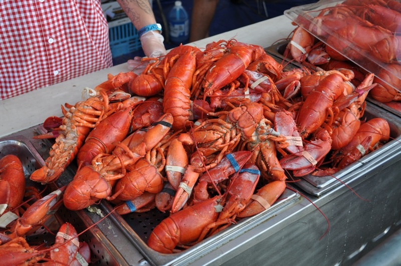 龙虾季到来 美国人这样吃龙虾 【图画人生】-凯迪社区