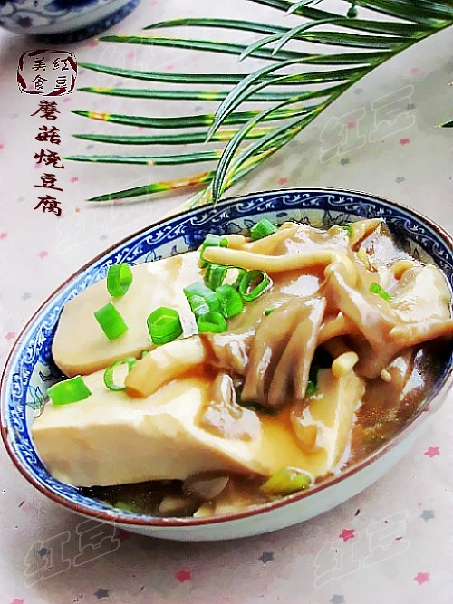 蘑菇炖豆腐