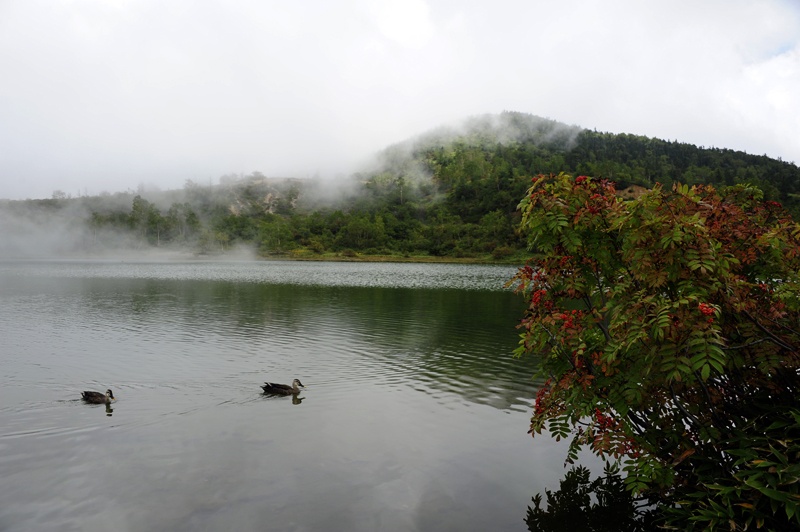 草津白根山 高原的色彩 猫十一 搜狐博客