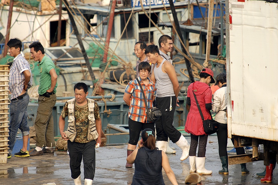 鱼虾海鲜_鱼虾死亡_鱼虾类图片