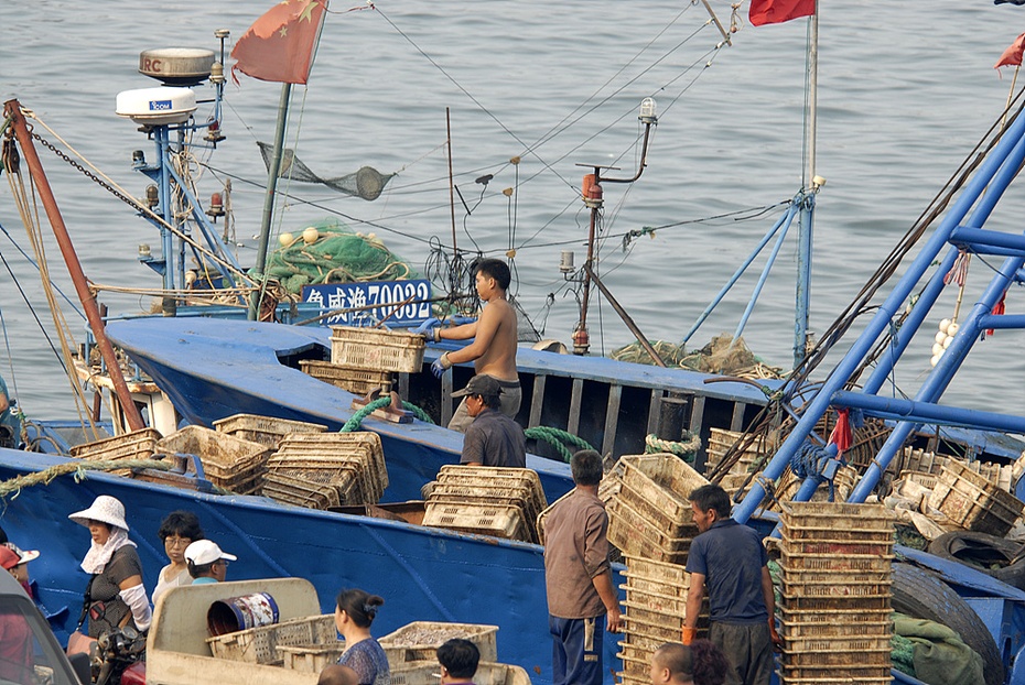 鱼虾海鲜_鱼虾死亡_鱼虾类图片