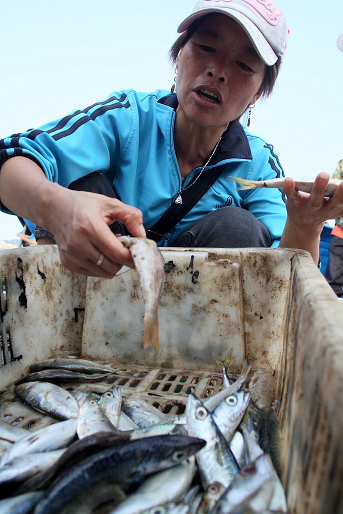 鱼虾海鲜_鱼虾死亡_鱼虾类图片(2)