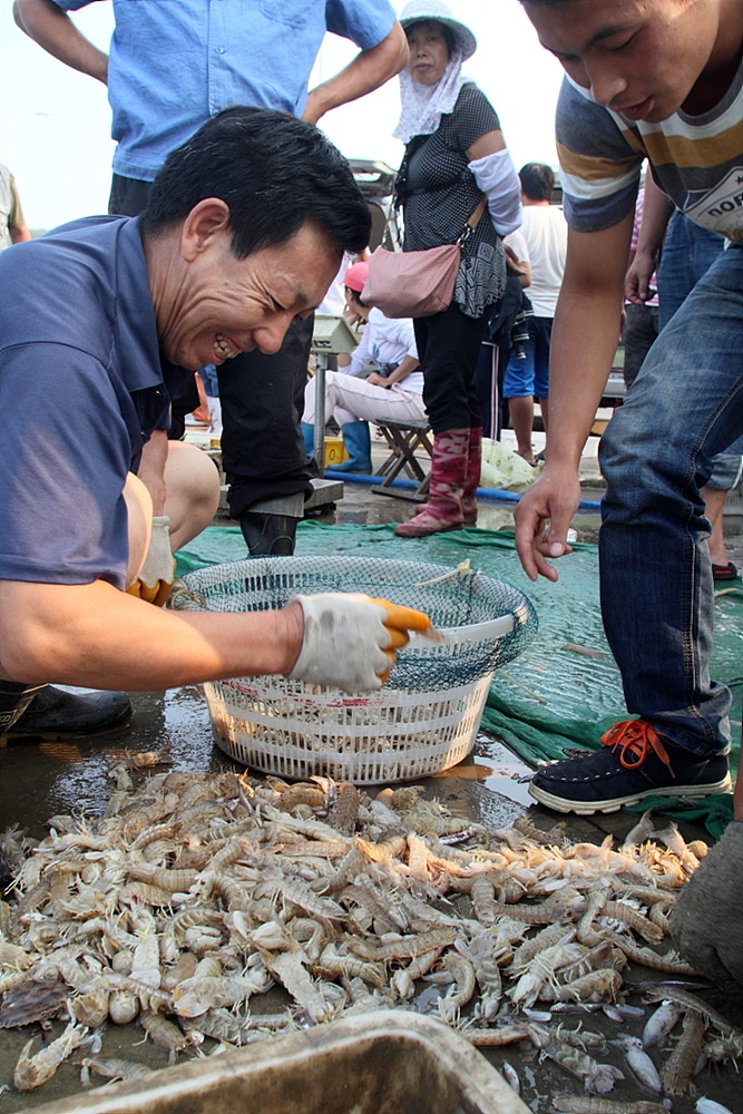 鱼虾海鲜_鱼虾死亡_鱼虾类图片(4)