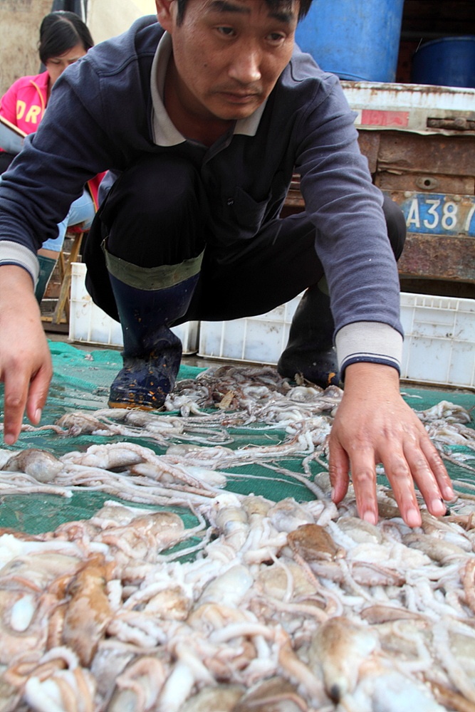 鱼虾海鲜_鱼虾死亡_鱼虾类图片