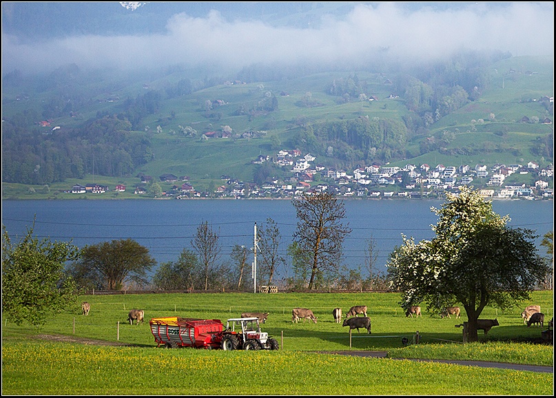 欧洲游之五,旅游胜地卢塞恩