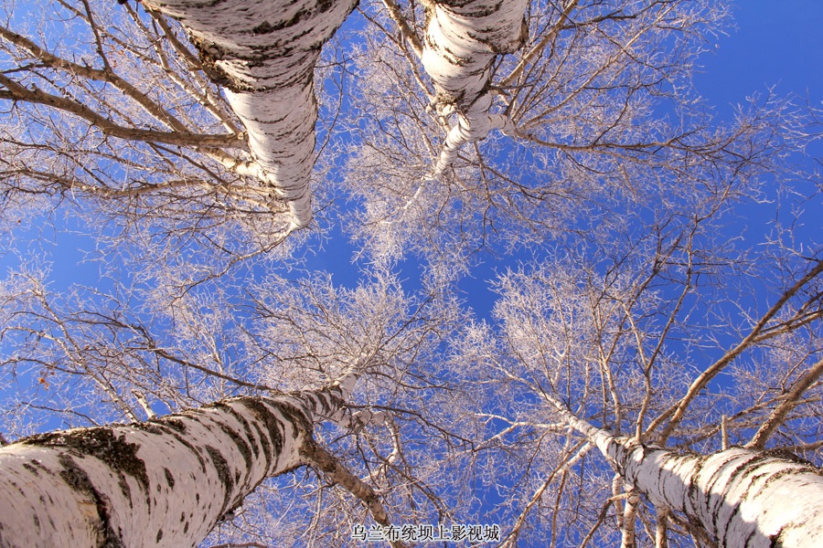 乌兰布统坝上草原看雪景--白雪皑皑的草原电影城