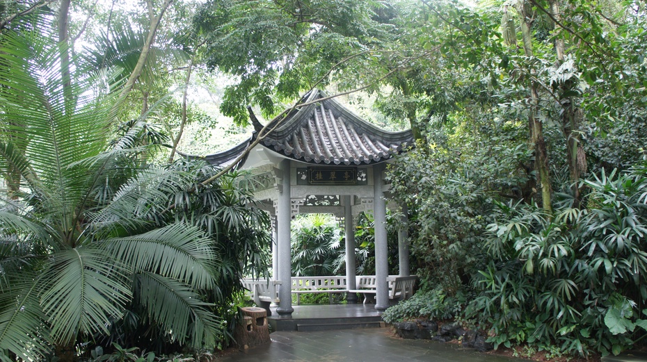 南宁青秀山:雨林大观