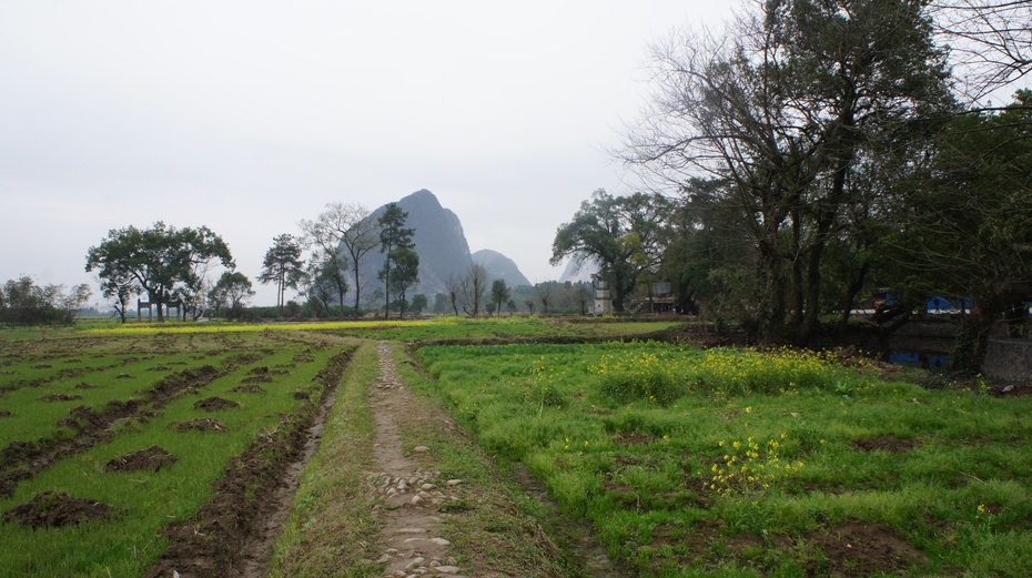 中国历史文化名村：桂林江头洲村
