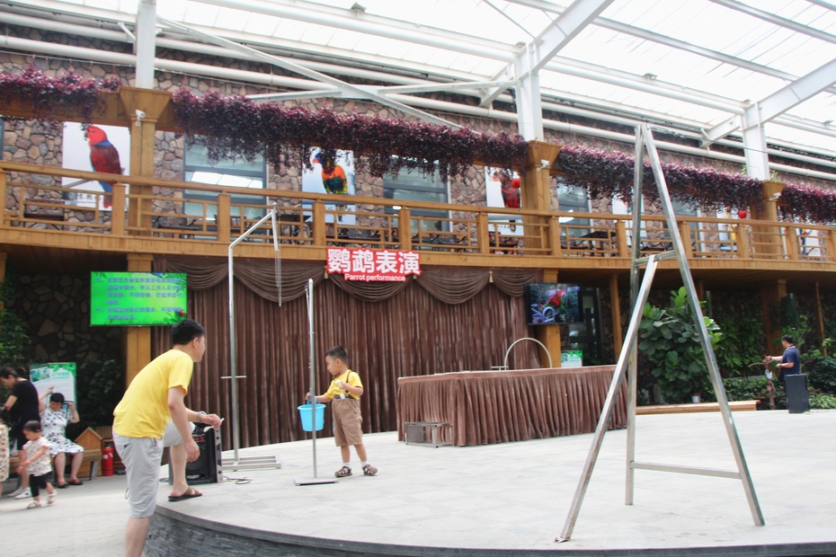 2015乐游北京第二站--南宫地热博览园之鹦鹉园上