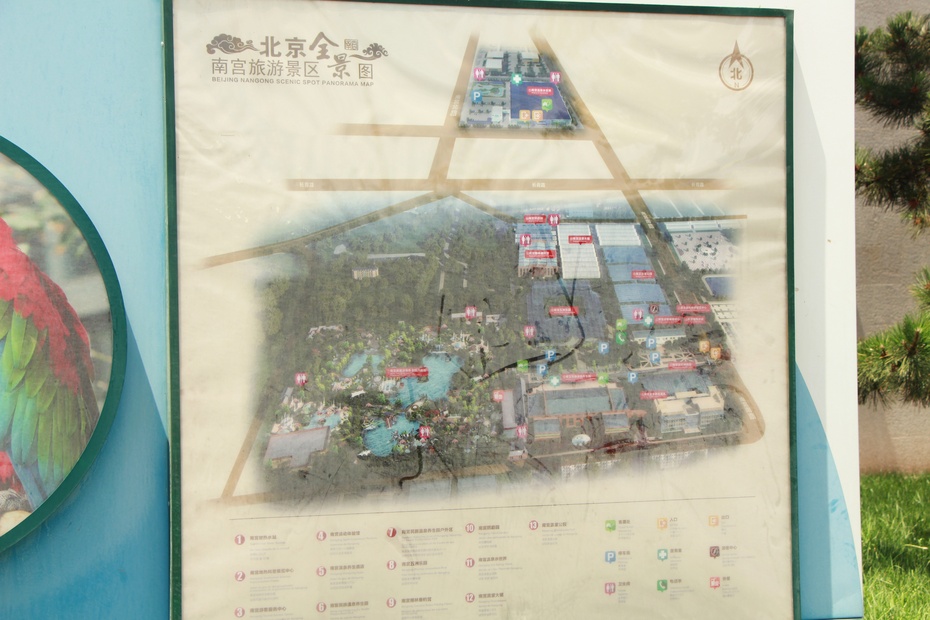 2015乐游北京第二站--南宫地热博览园之鹦鹉园上