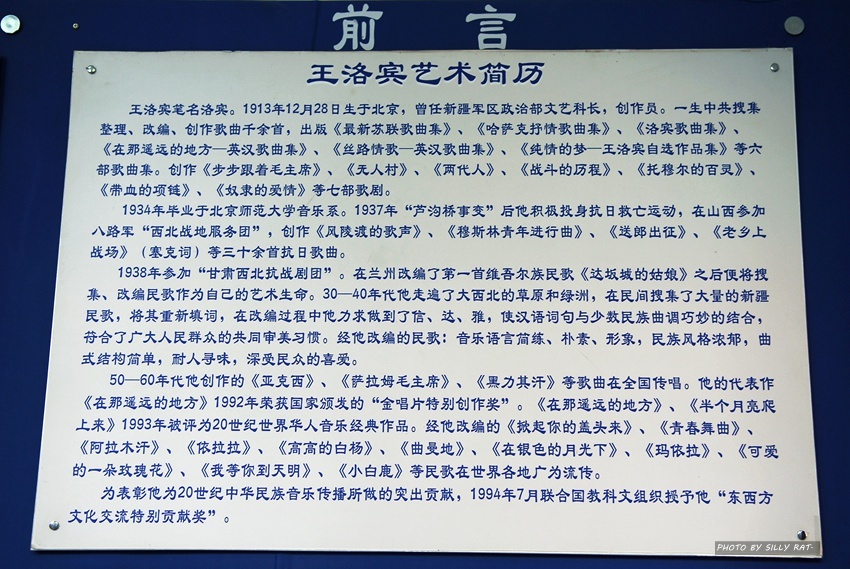 歌王,在那遥远的地方