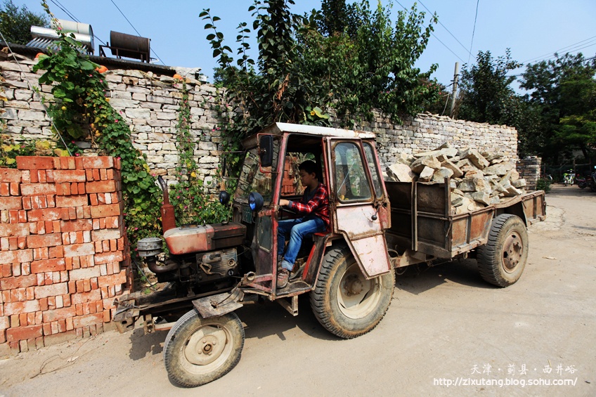 津城漫游 牵牛花蔓生的西井峪
